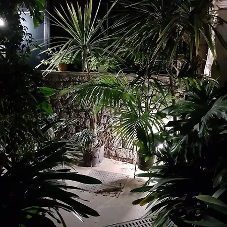 Cho Almeida Vega de San Mateo