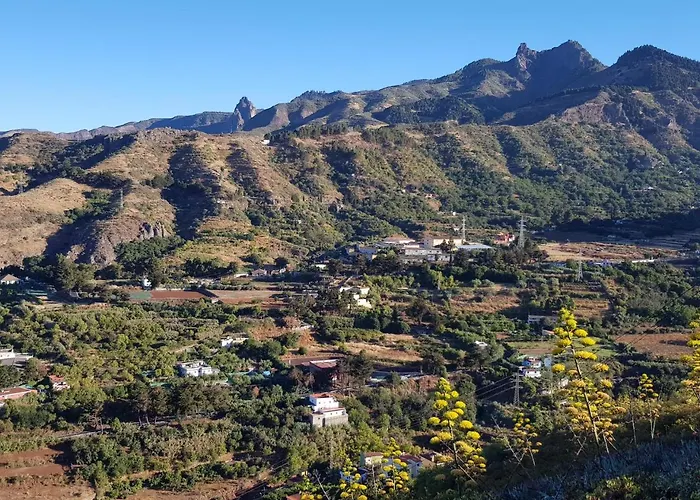 Cho Almeida * Vega de San Mateo